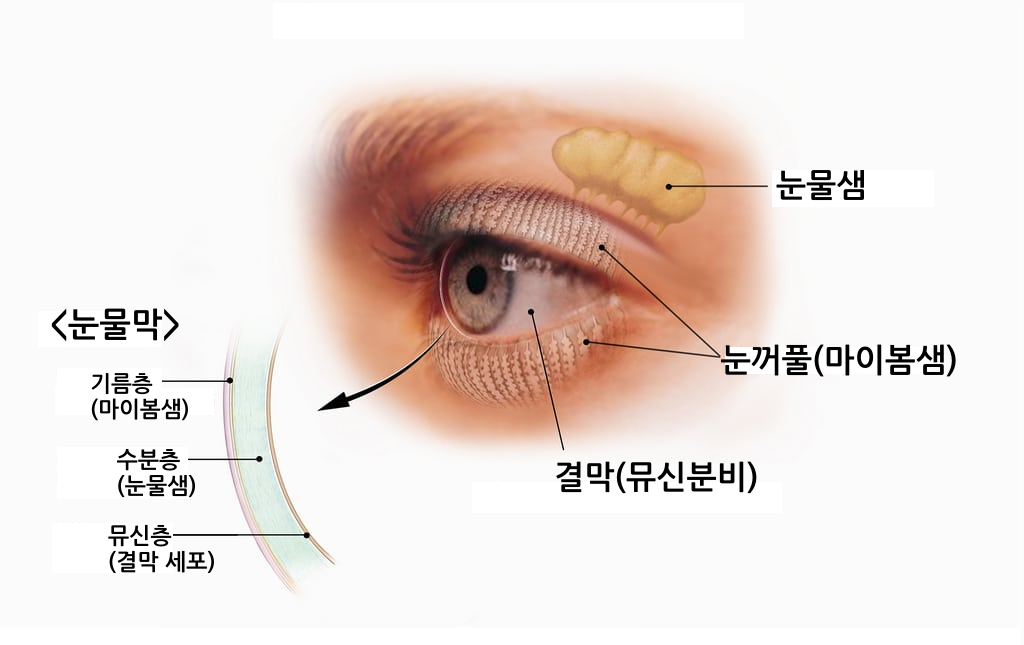 Dry eye syndrome classification (Agenda series Part.02-2)