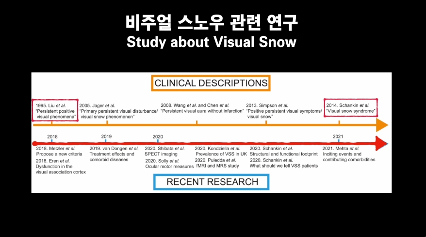 비주얼 스노우 연구
Research about Visual Snow