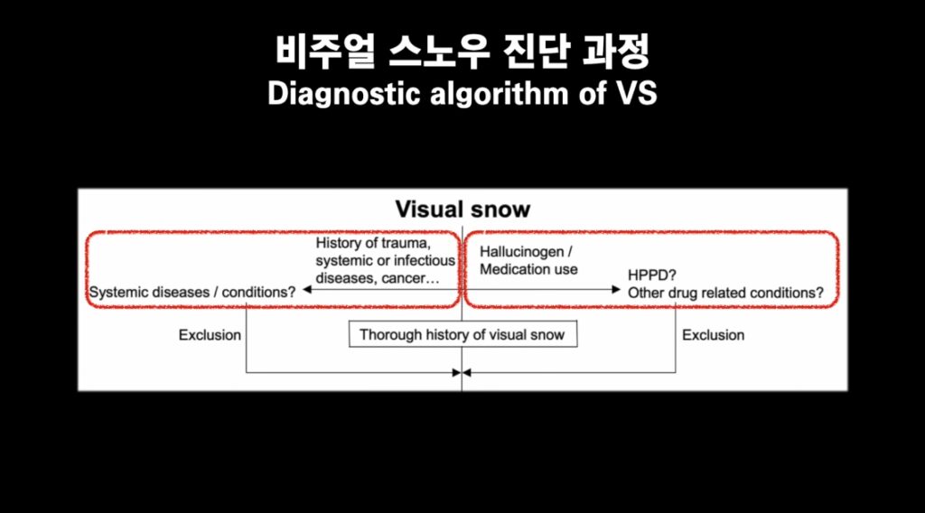 비주얼 스노우 진단 과정
diagnostic algorithm of visual snow