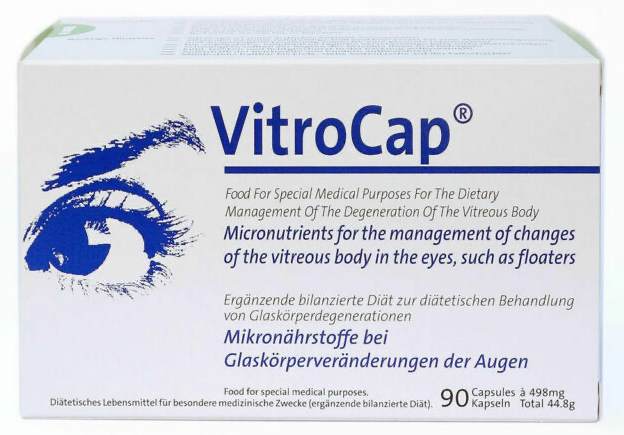 비문증 영양제 두 번째 논문(feat. vitrocap)