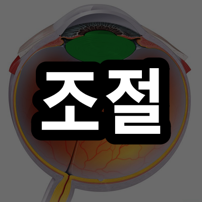 조절, 조절이란 무엇일까요?