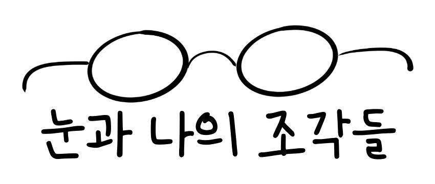 눈과 나의 조각들 – 안과 전문의 송한의 Blog