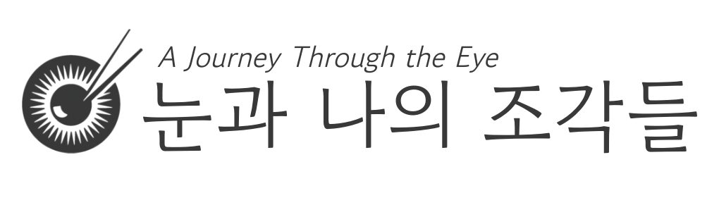 눈과 나의 조각들 – 안과 전문의 송한의 Blog