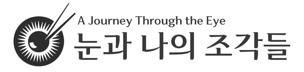 눈과 나의 조각들 – 안과 전문의 송한의 Blog