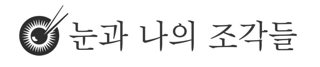 눈과 나의 조각들 – 안과 전문의 송한의 Blog