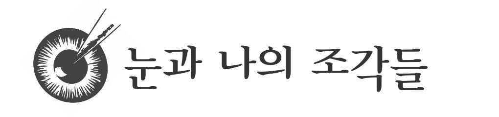 눈과 나의 조각들 – 안과 전문의 송한의 Blog