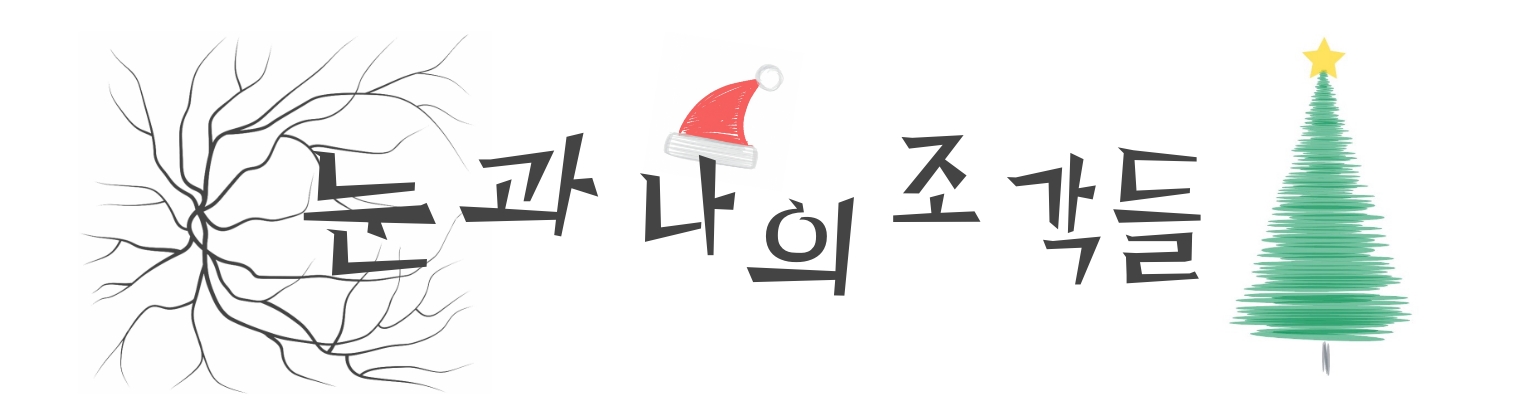 눈과 나의 조각들 – 안과 전문의 송한의 Blog