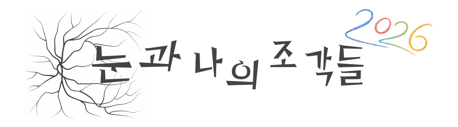 눈과 나의 조각들 – 안과 전문의 송한의 Blog